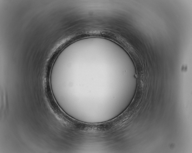 X0000096710728200802261628