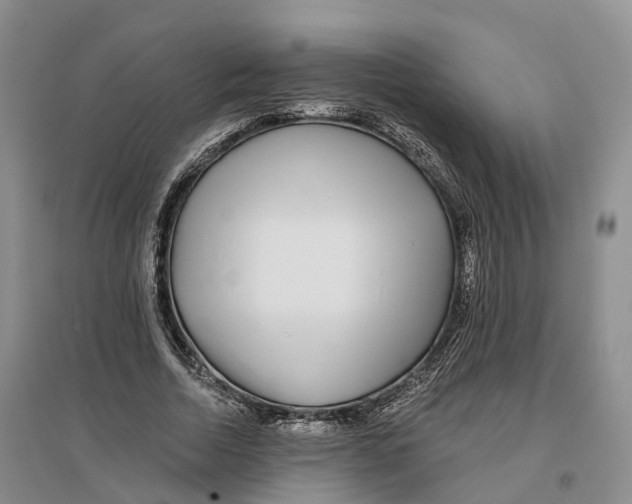 X0000096710730200802261628