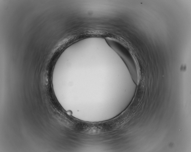 X0000096710731200802261628