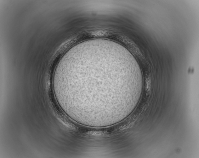 X0000096710733200802261628