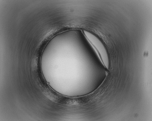 X0000096710735200802261628