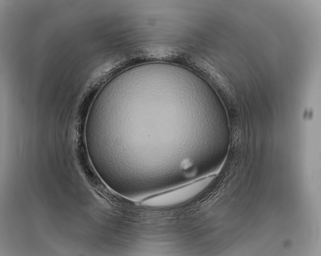 X0000096710736200802261628