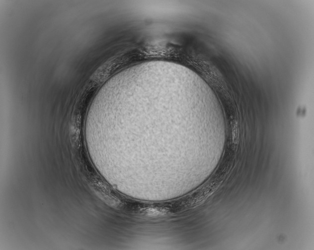 X0000096710737200802261628