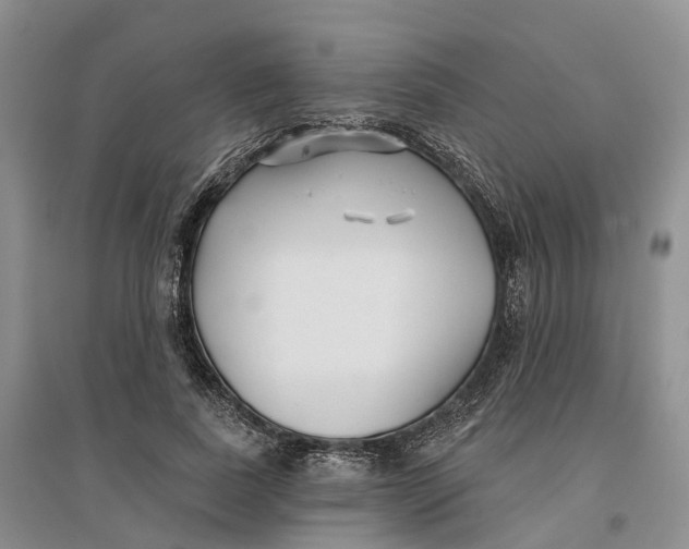 X0000096710739200802261628