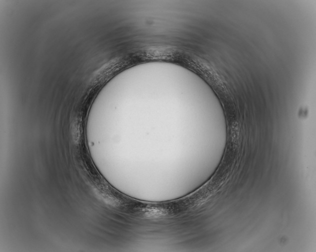 X0000096710741200802261629