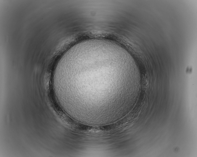 X0000096710742200802261629