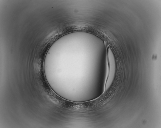 X0000096710744200802261629