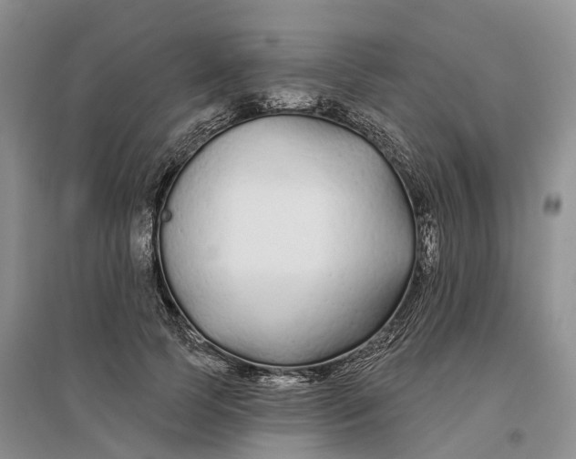 X0000096710745200802261629