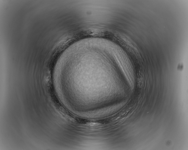 X0000096710748200802261629