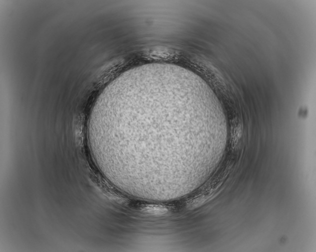 X0000096710749200802261629