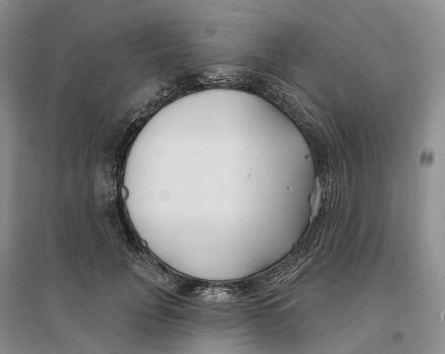 X0000096710751200802261629