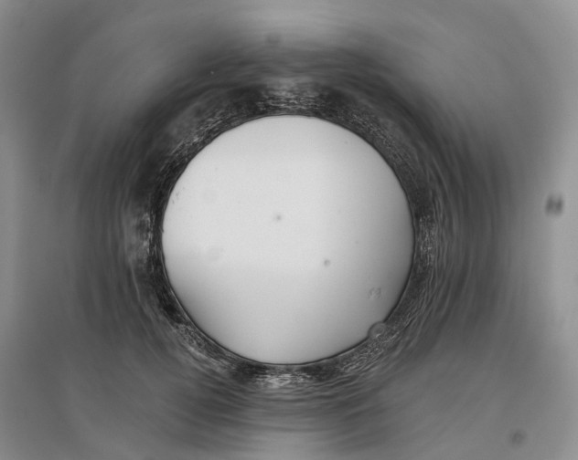 X0000096710752200802261629