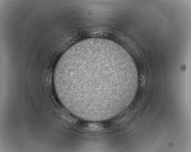 X0000096710753200802261629