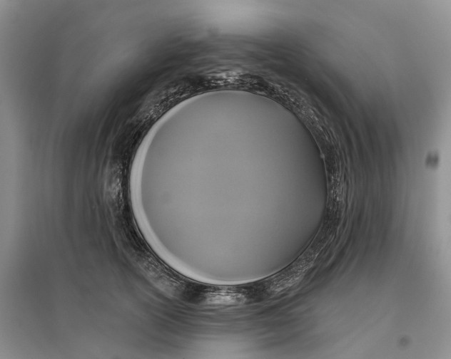 X0000096710754200802261629