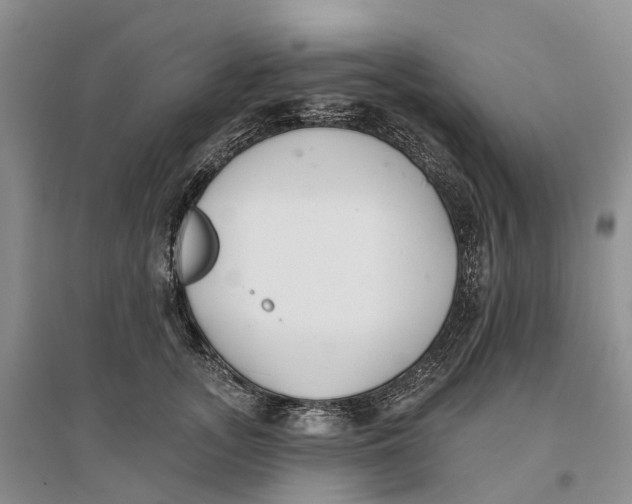 X0000096710755200802261629