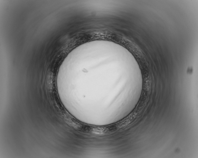 X0000096710757200802261629