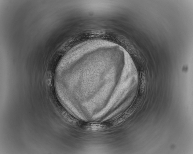 X0000096710758200802261629