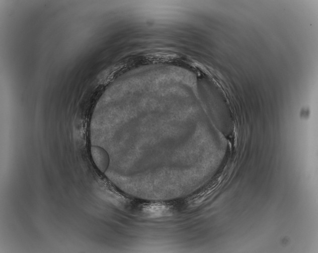 X0000096710759200802261629