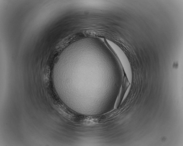 X0000096710760200802261629