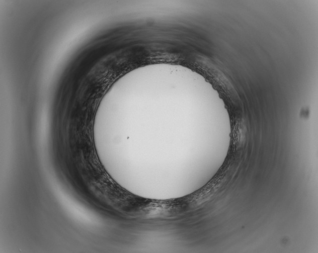 X0000096710764200802261629