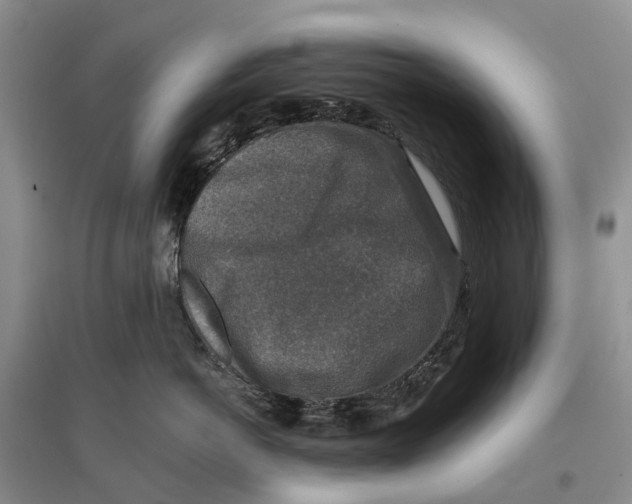 X0000096710766200802261629