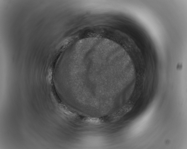 X0000096710767200802261629