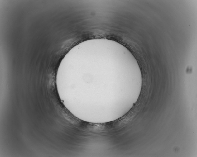 X0000096710768200802261629