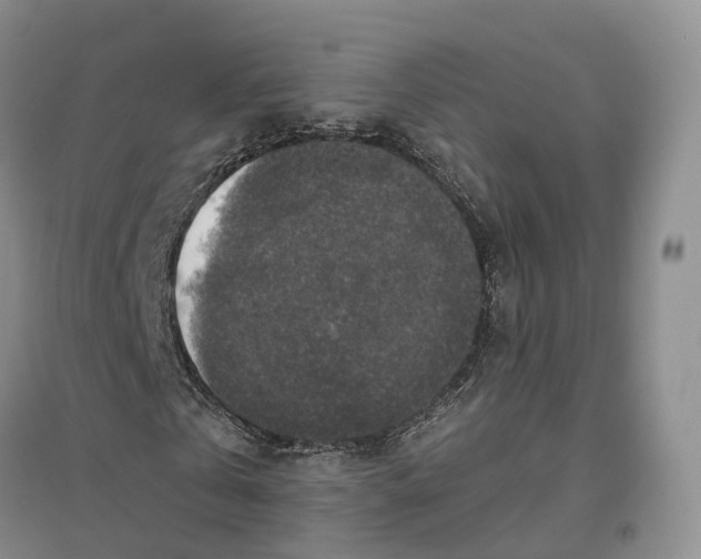 X0000096710769200802261628