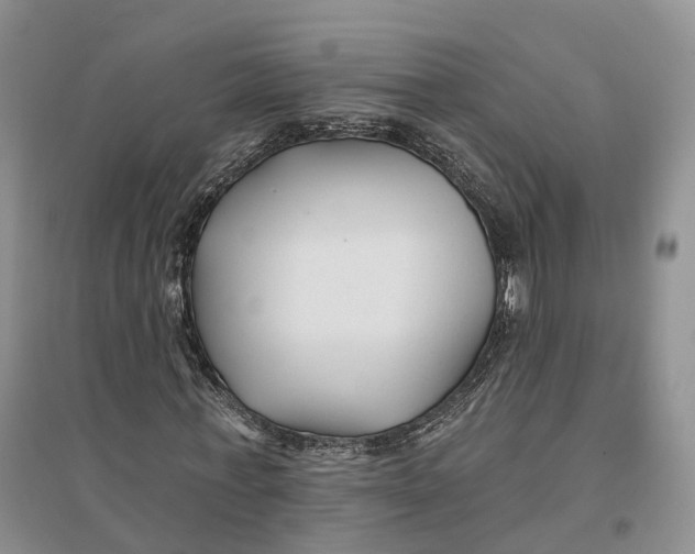 X0000096710771200802261628