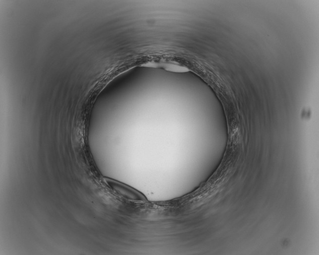 X0000096710772200802261628