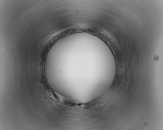 X0000096710773200802261628