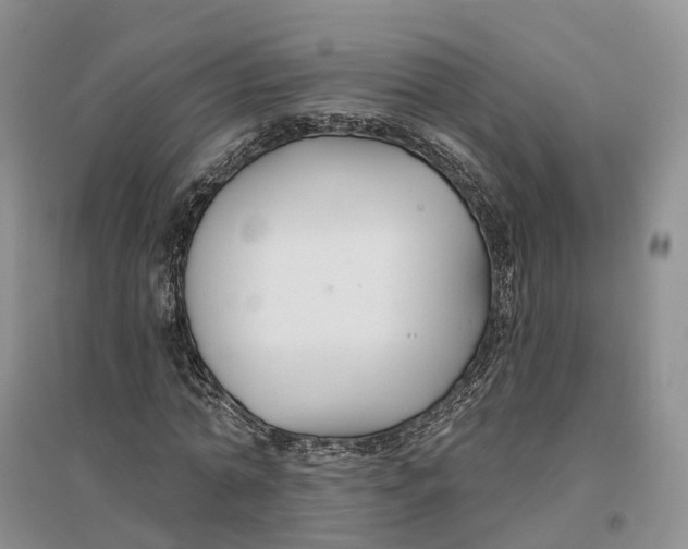 X0000096710774200802261628