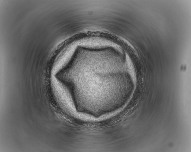 X0000096710775200802261628