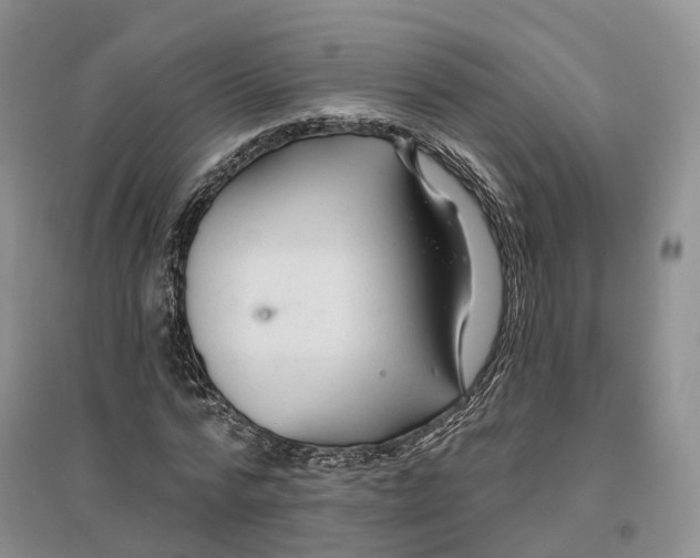 X0000096710776200802261628