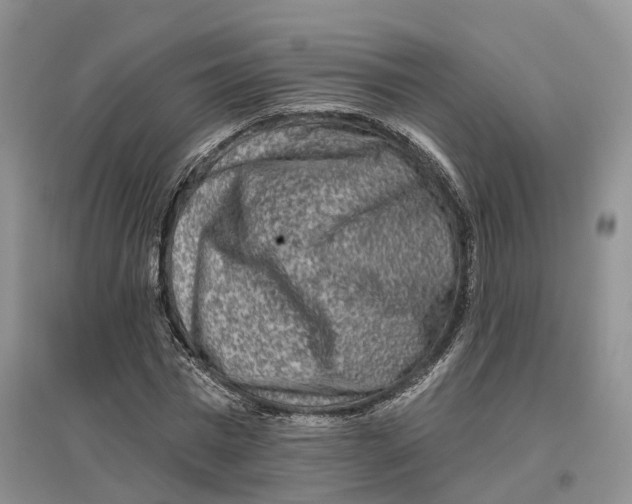 X0000096710777200802261628