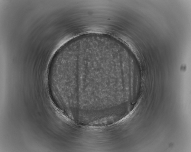 X0000096710779200802261628