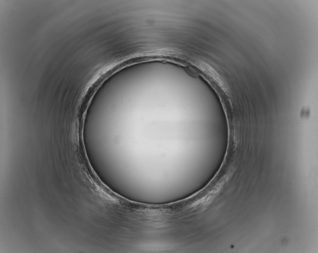 X0000096710781200802261628