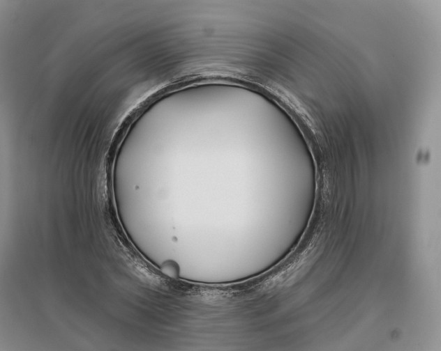 X0000096710782200802261628