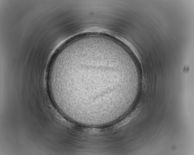 X0000096710783200802261628