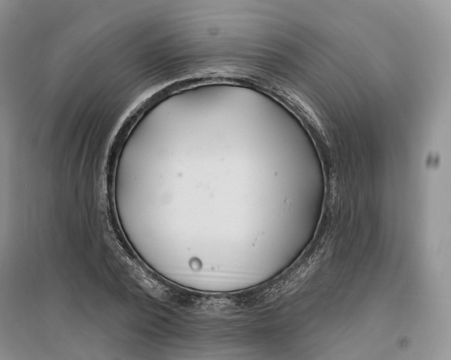 X0000096710784200802261628