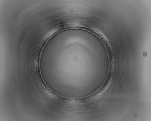 X0000096710785200802261628