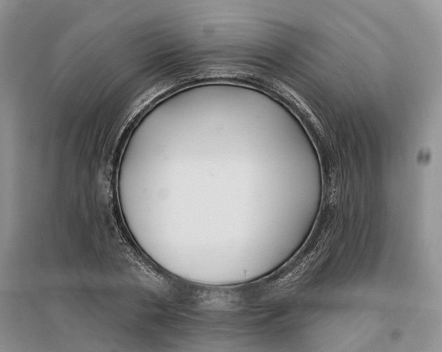 X0000096710786200802261628