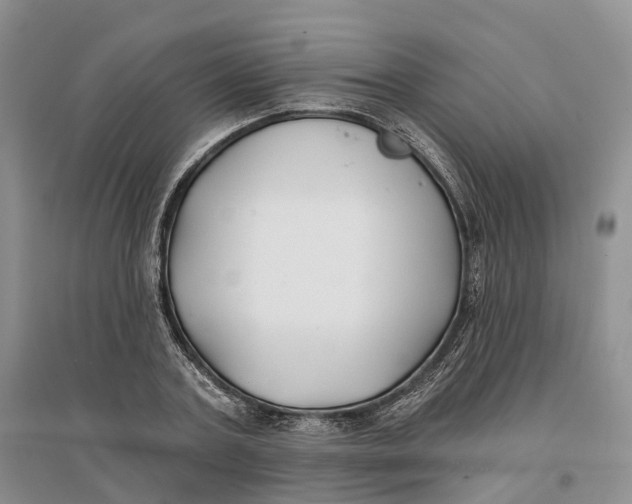 X0000096710787200802261628