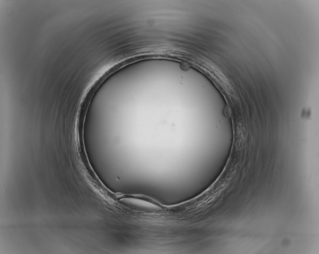 X0000096710788200802261628