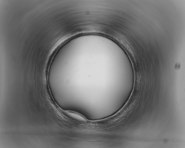 X0000096710789200802261628