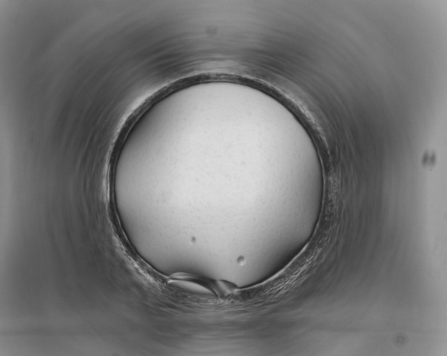 X0000096710791200802261628