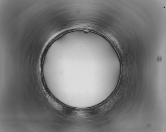 X0000096710792200802261628