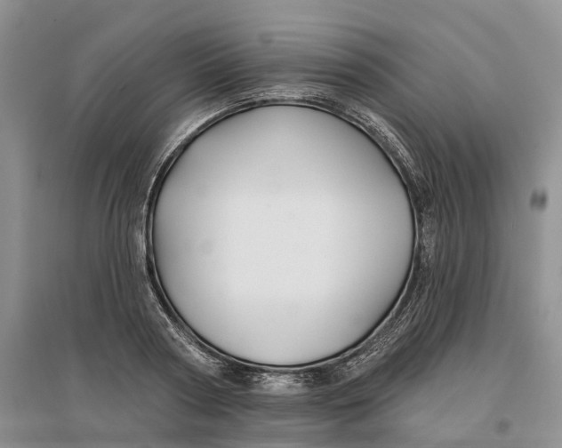 X0000096710794200802261628