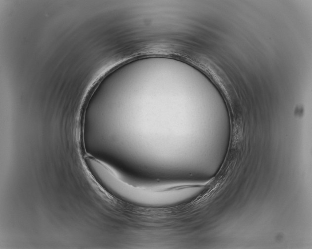 X0000096710795200802261628