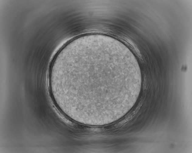 X0000096710796200802261628